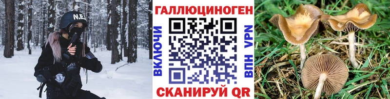 Псилоцибиновые грибы Psilocybe  Подпорожье 